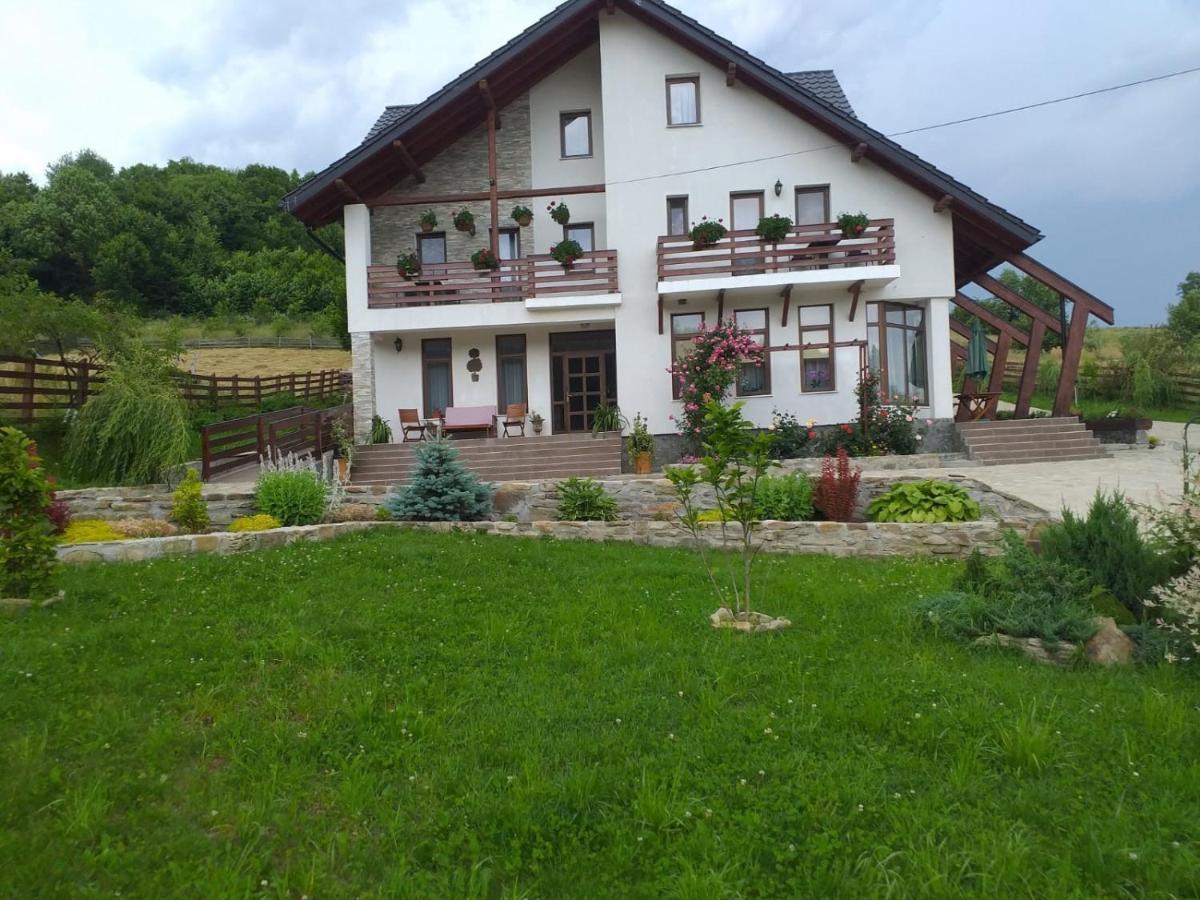 Pensiunea Doina Bucovinei Hotel Mînăstirea Humorului Kültér fotó