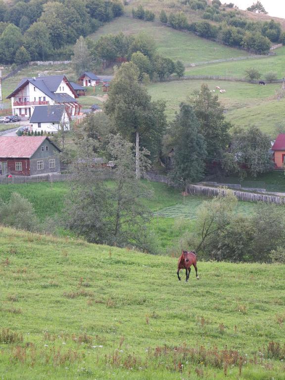 Pensiunea Doina Bucovinei Hotel Mînăstirea Humorului Kültér fotó