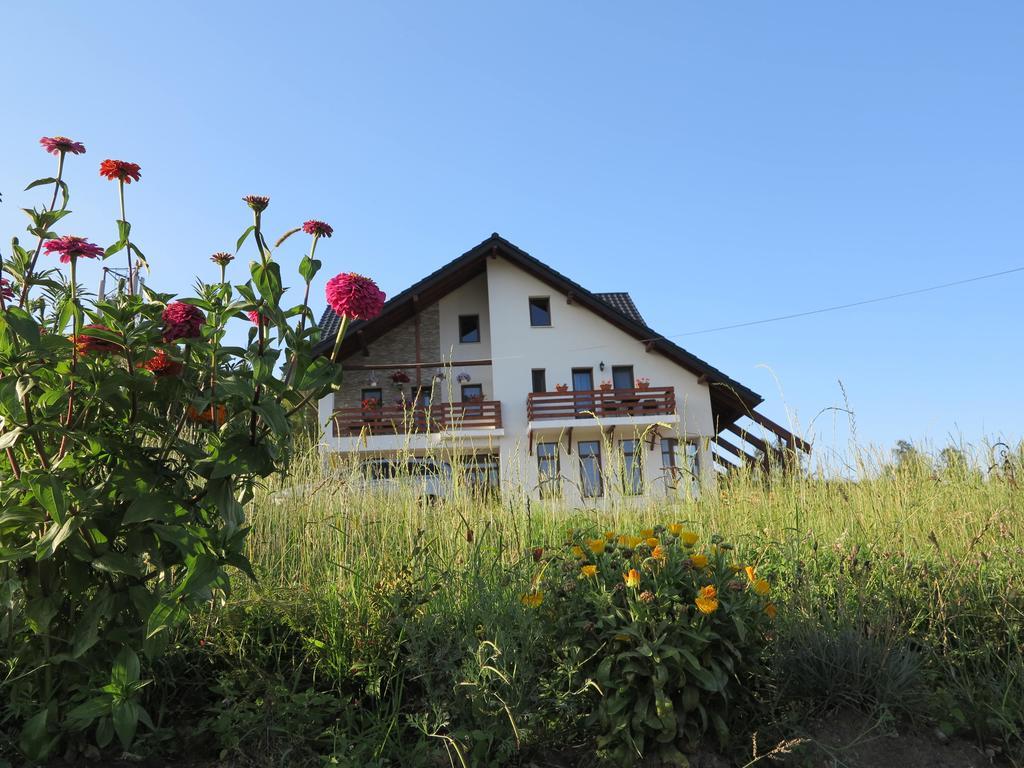 Pensiunea Doina Bucovinei Hotel Mînăstirea Humorului Kültér fotó