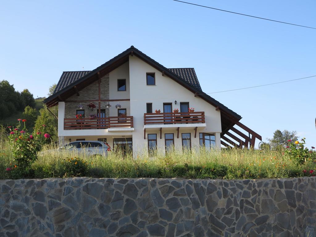 Pensiunea Doina Bucovinei Hotel Mînăstirea Humorului Kültér fotó