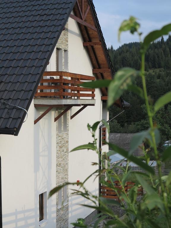 Pensiunea Doina Bucovinei Hotel Mînăstirea Humorului Kültér fotó